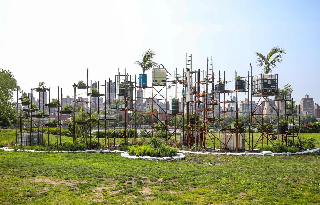 Εικόνα επιλογής